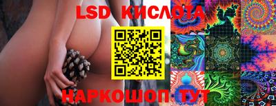 бошки Обнинск